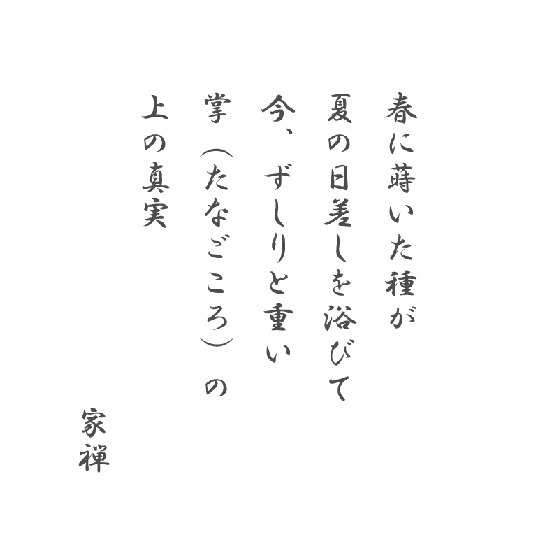 春に蒔いた種が 夏の日差しを浴びて 今、ずしりと重い 掌（たなごころ）の上の真実