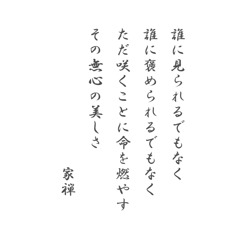 誰に見られるでもなく
誰に褒められるでもなく
ただ咲くことに命を燃やす
その無心の美しさ