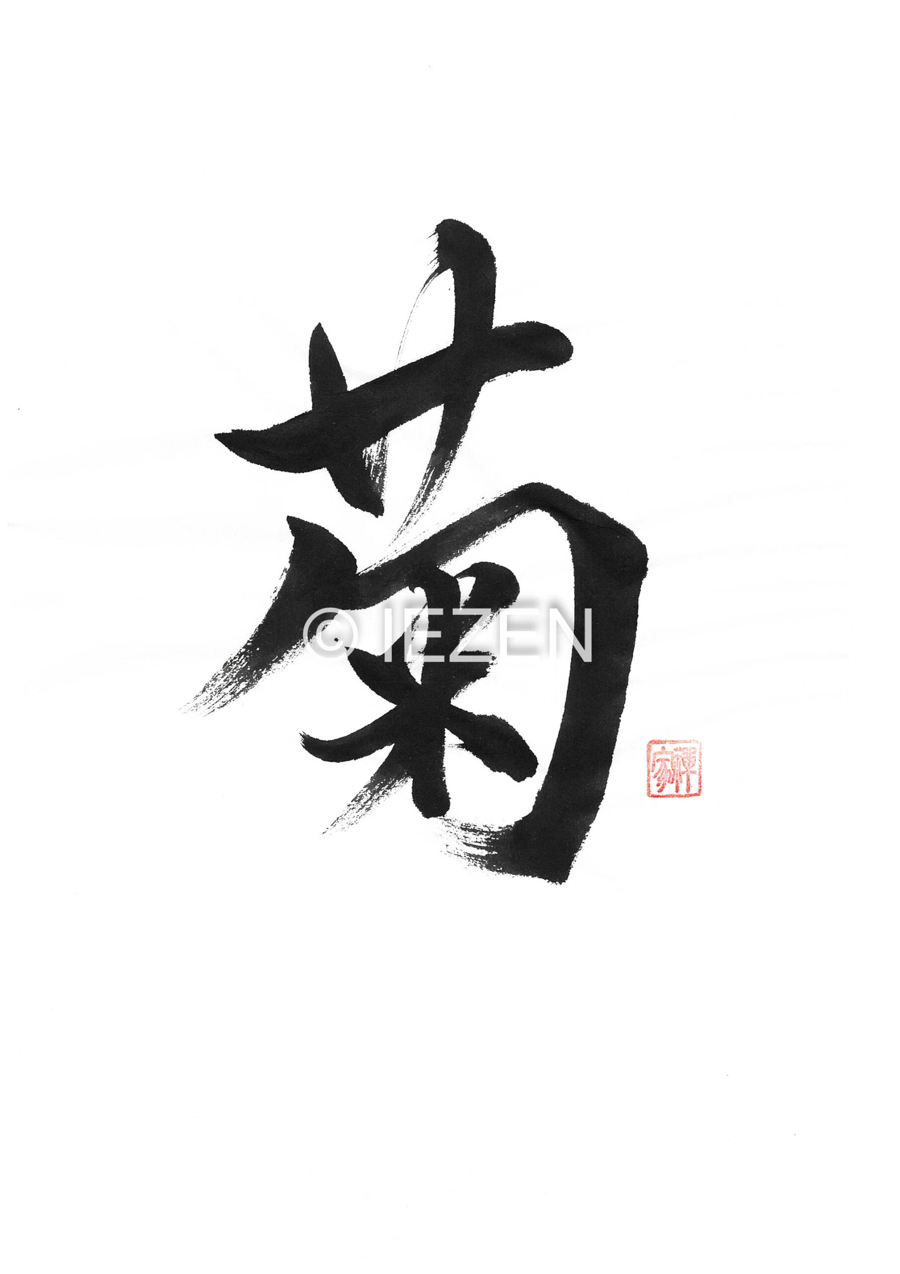 菊 KIKU きく 家禅 IEZEN.JP